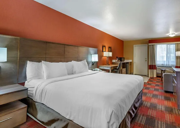 Comfort Lucky Lane I-40 Inn Flagstaff